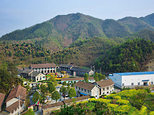 热烈祝贺万搏买球正式上线！